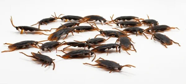 Halloween Gadget Plastic Cockroaches Joke Decoration Props Rubber Toy Gags Practical Jokes Toys Plastic Bugs Cockroach - Image 12